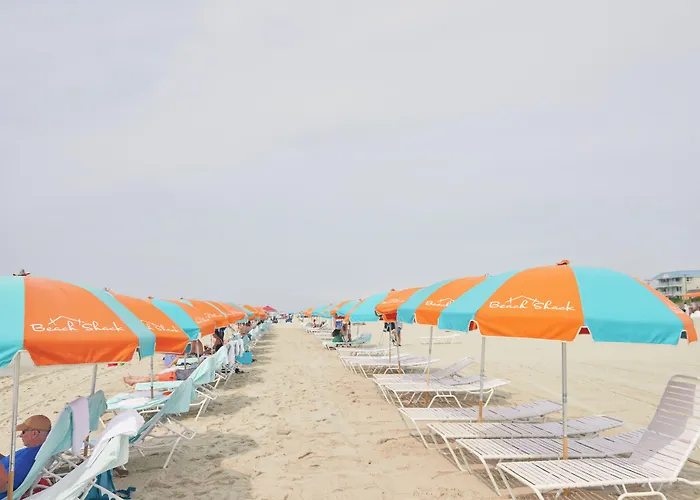 Beach Shack